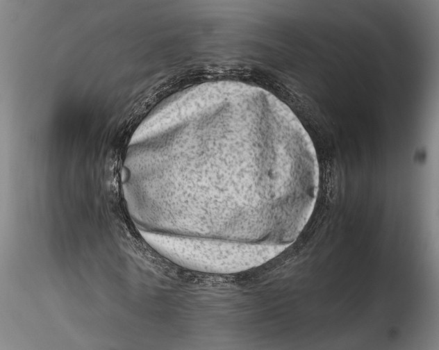 X0000115540770200911271410