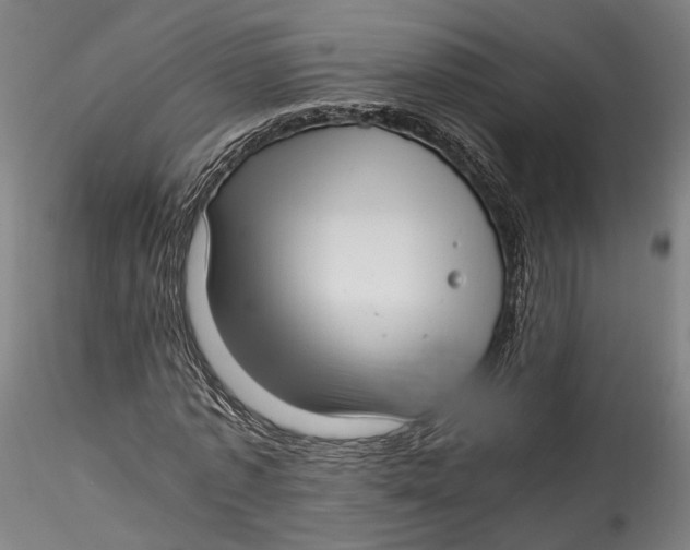 X0000115540773200911271410