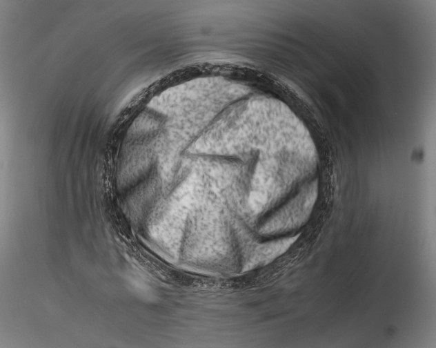 X0000115540775200911271410