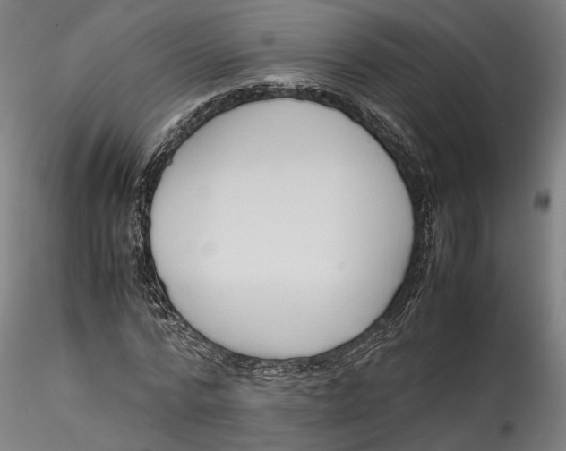 X0000115540776200911271410