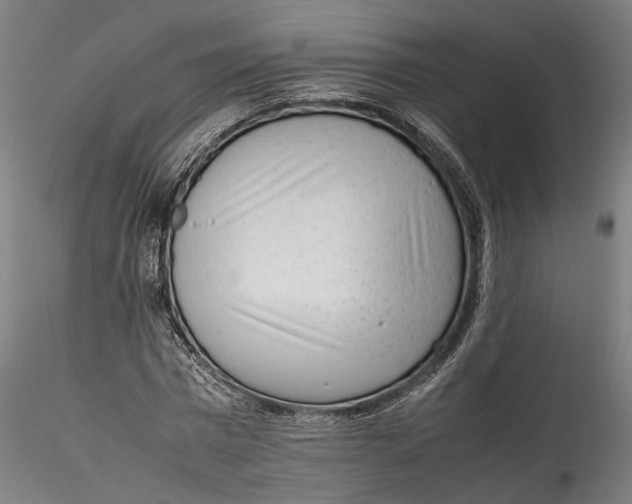 X0000115540777200911271409