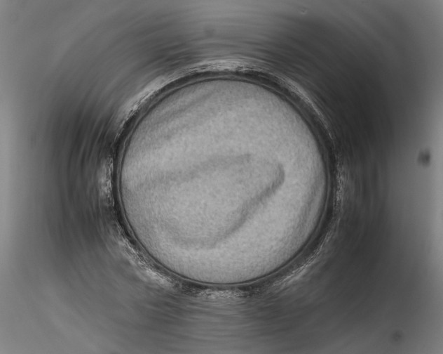 X0000115540778200911271409