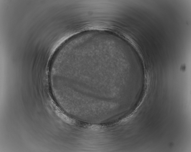 X0000115540779200911271409