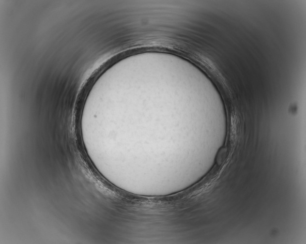 X0000115540780200911271409