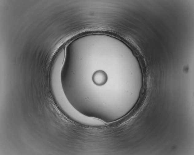 X0000115540781200911271409