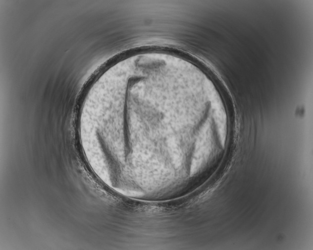 X0000115540783200911271409