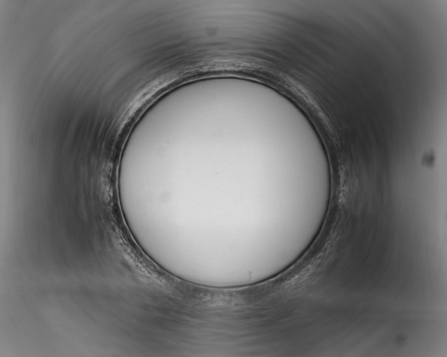 X0000115540786200911271409