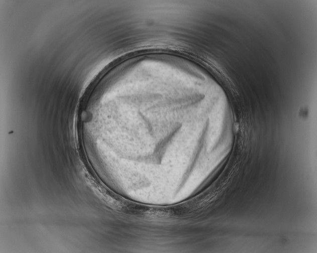 X0000115540788200911271409