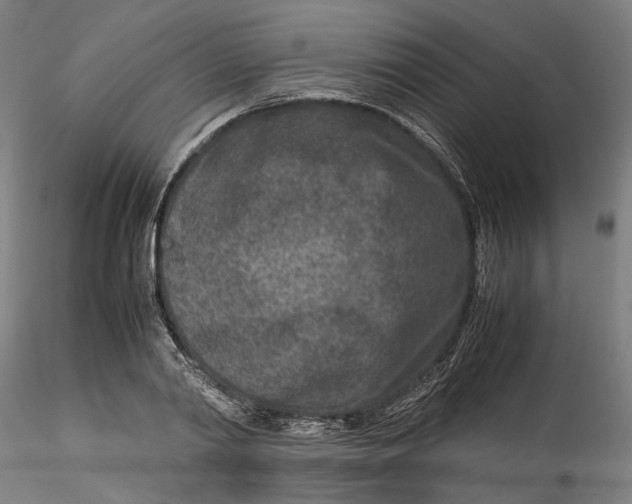 X0000115540790200911271409