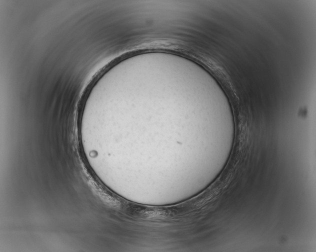 X0000115540792200911271409