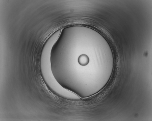 X0000115540793200911271409