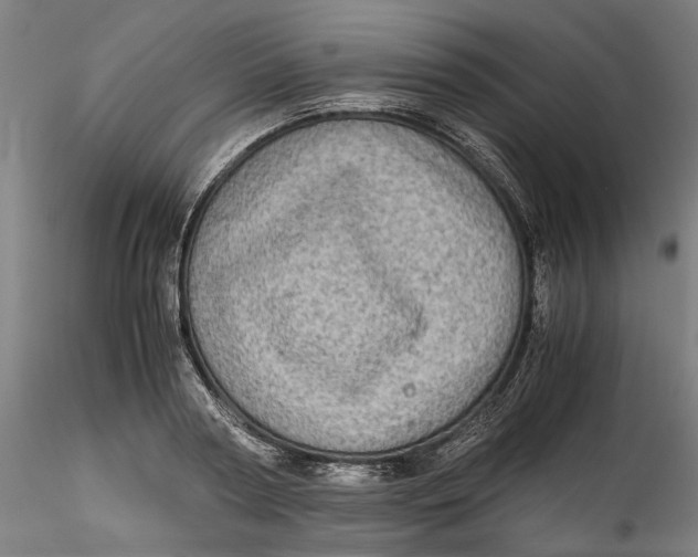 X0000115540794200911271409