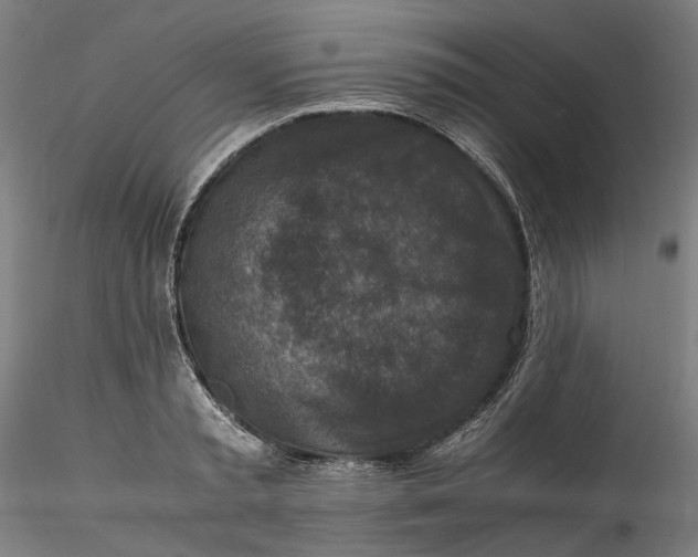 X0000115540797200911271409