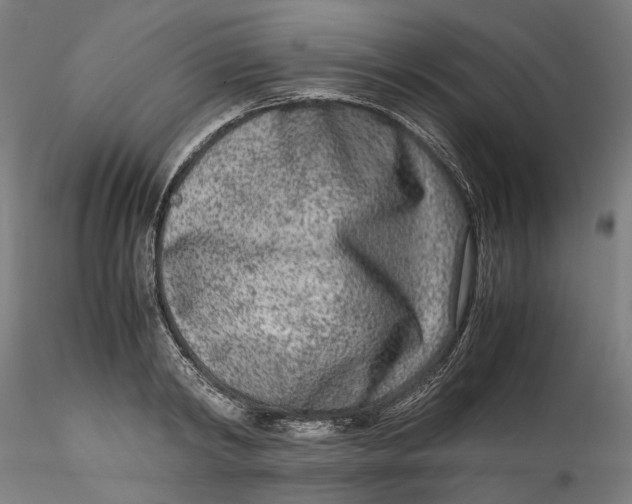 X0000115540798200911271409