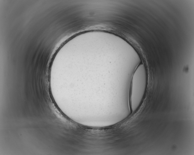 X0000115540800200911271409