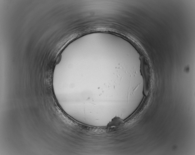 X0000115540801200911271409