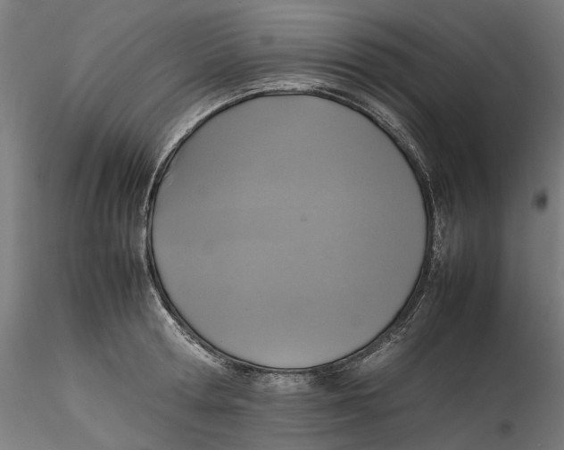 X0000115540802200911271409