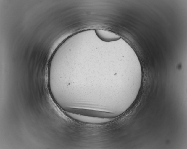 X0000115540804200911271409