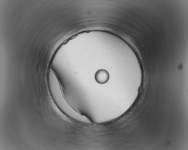 X0000115540805200911271409