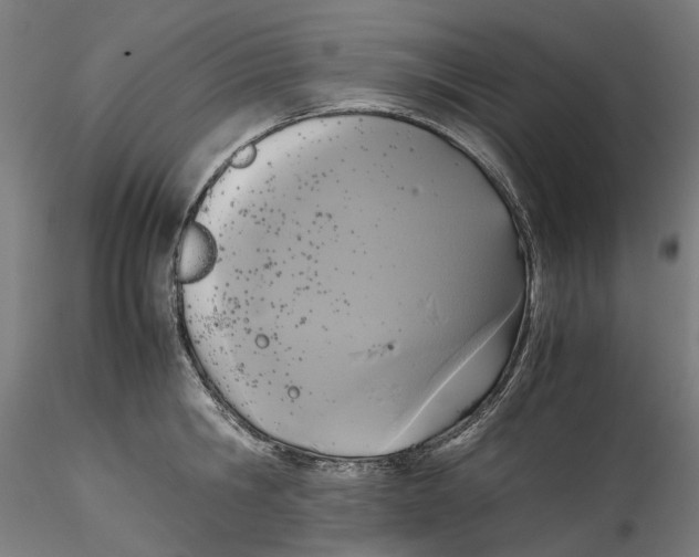 X0000115540806200911271409