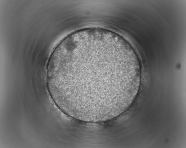 X0000115540807200911271409