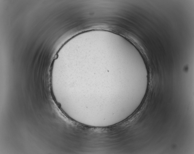 X0000115540808200911271409