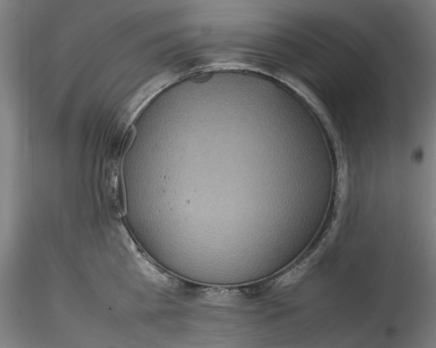 X0000115540809200911271409