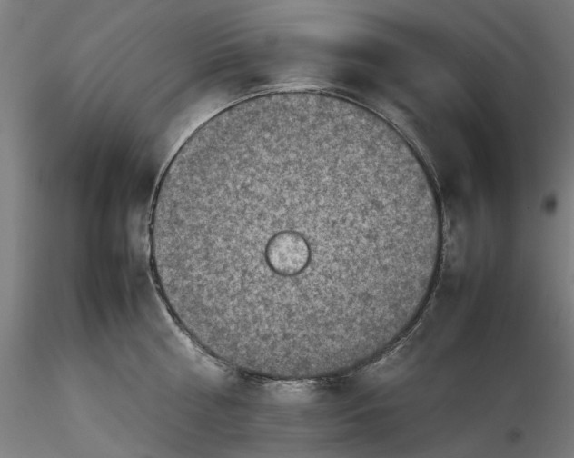 X0000115540810200911271409