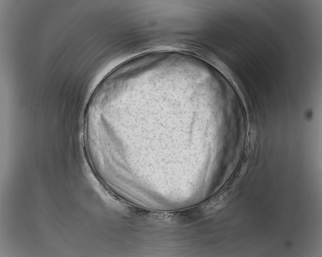 X0000115540811200911271409