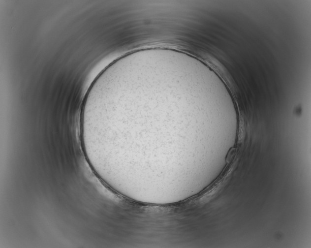 X0000115540812200911271409