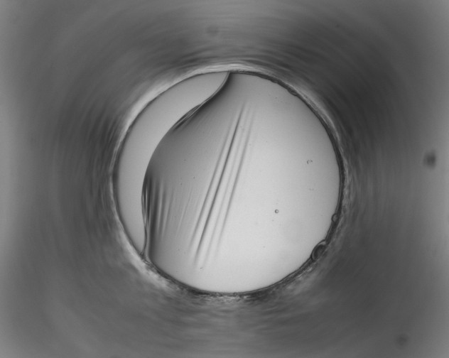 X0000115540813200911271409