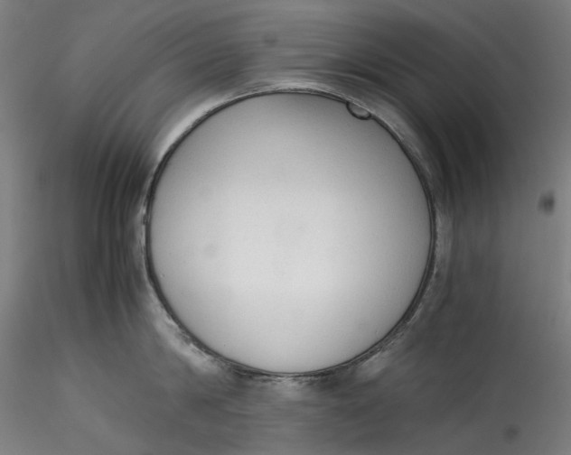 X0000115540814200911271409