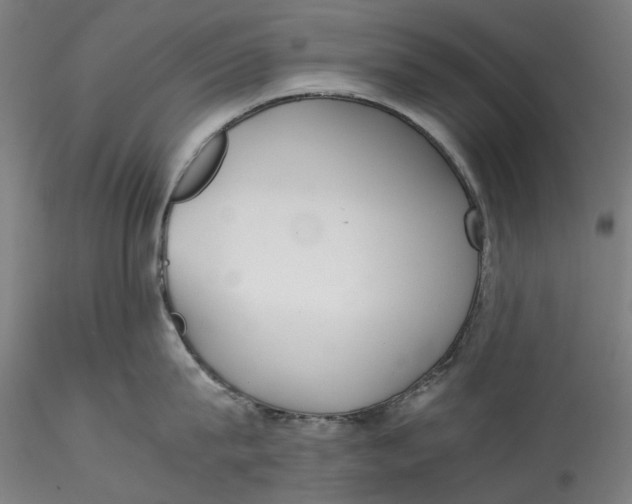 X0000115540815200911271409