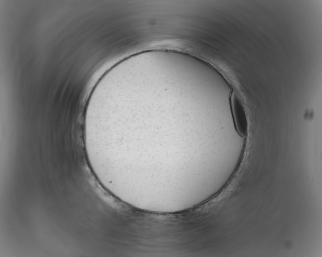 X0000115540816200911271409