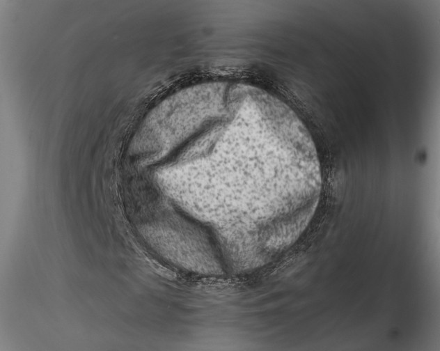 X0000115540817200911271408