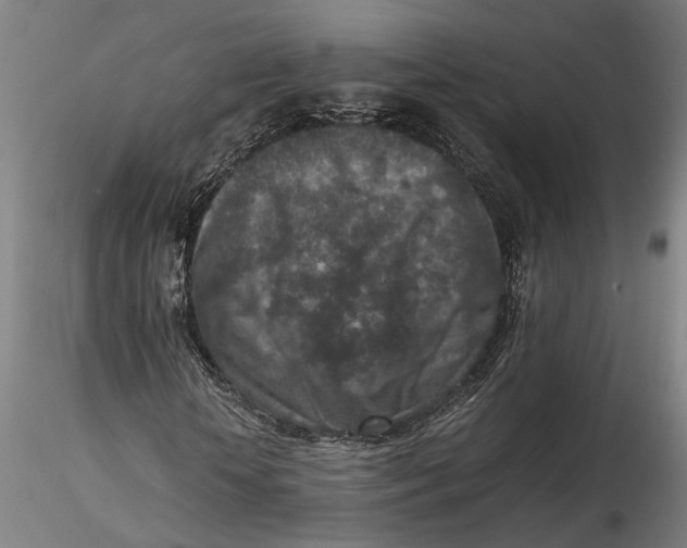 X0000115540818200911271408