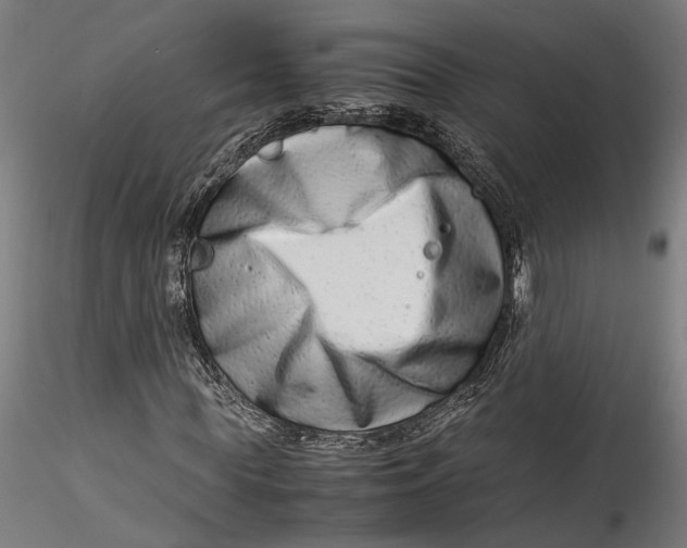 X0000115540819200911271408