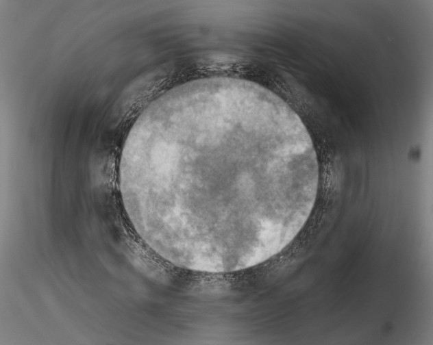 X0000115540820200911271408