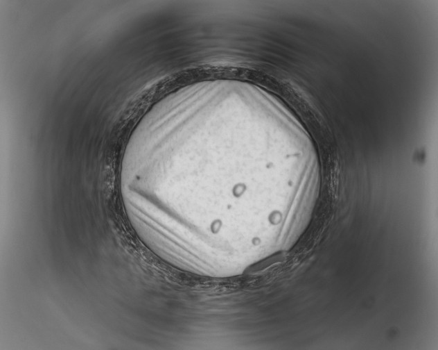 X0000115540821200911271408