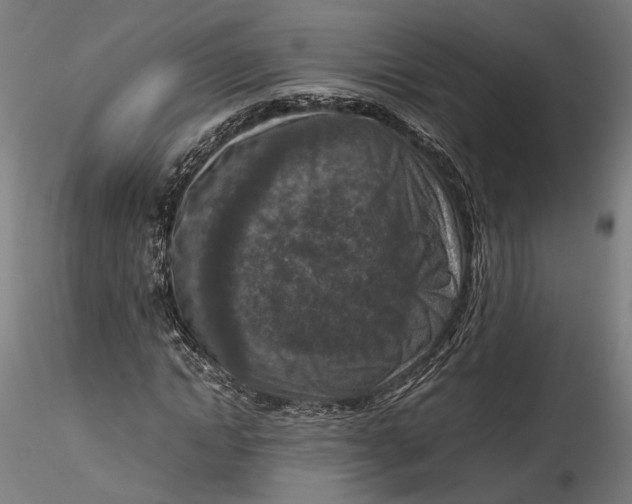 X0000115540822200911271408