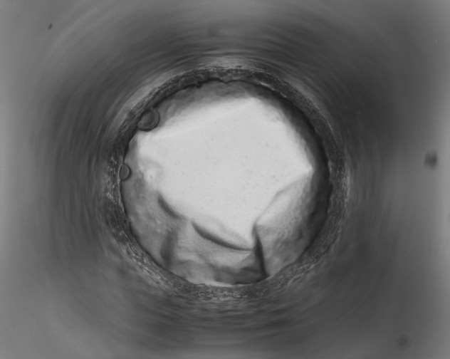 X0000115540823200911271408