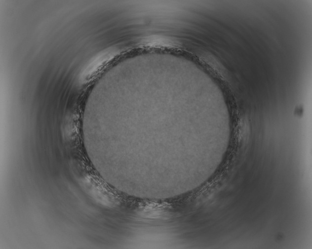 X0000115540824200911271408