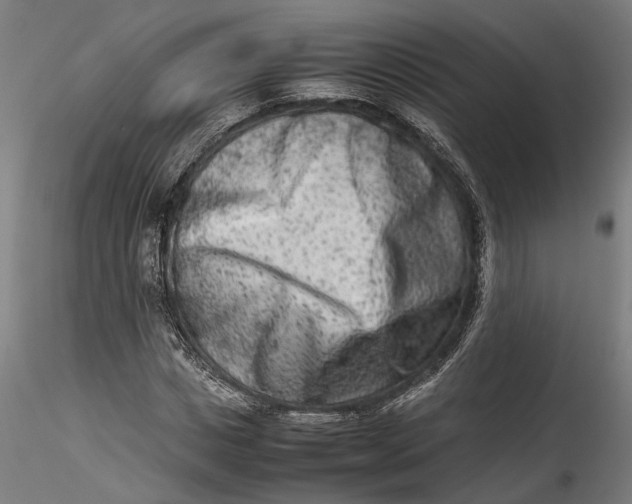 X0000115540825200911271408