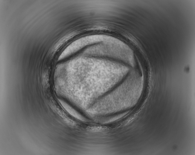 X0000115540826200911271408