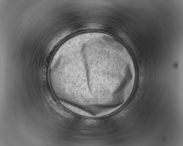 X0000115540827200911271408