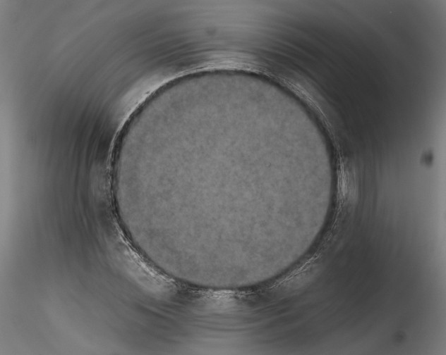 X0000115540828200911271408