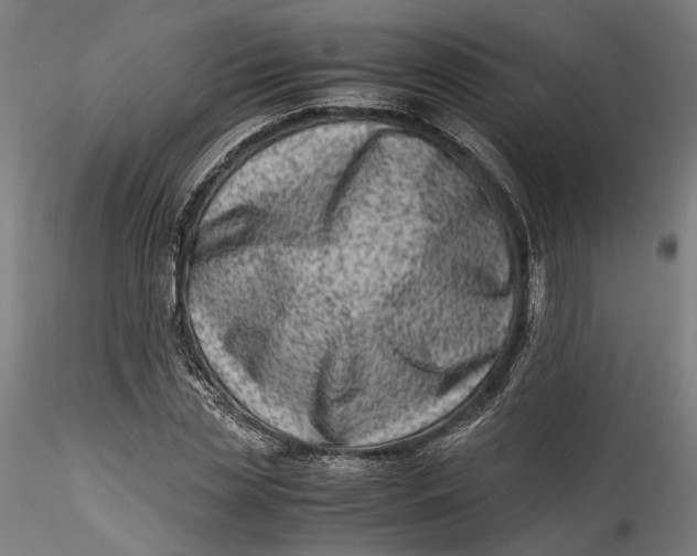 X0000115540829200911271408