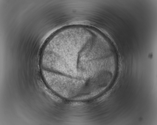 X0000115540830200911271408