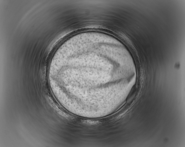 X0000115540831200911271408