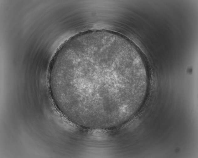 X0000115540832200911271408